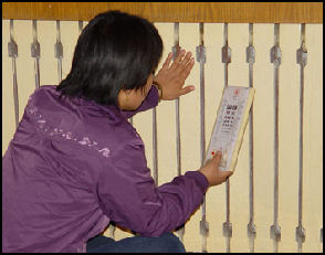 20080312-heating system, china daily, env news.jpg